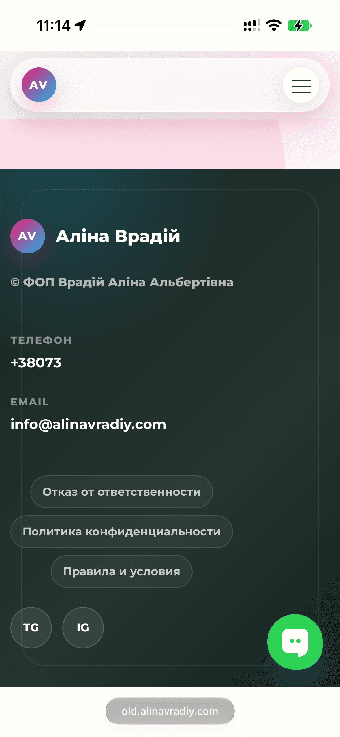 Alina Vradiy 6